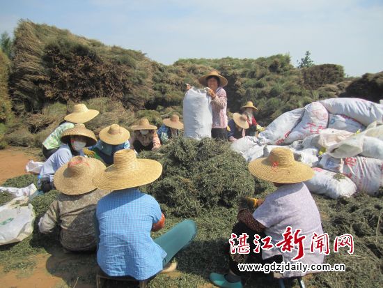 村民在基地打工