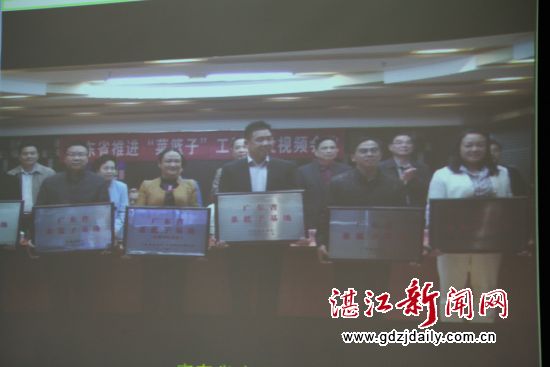 2广东省推进菜篮子工程建设视频会议现场