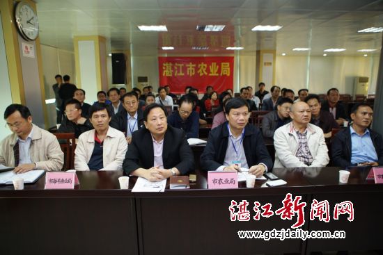 3广东省推进菜篮子工程建设视频会议湛江分会场