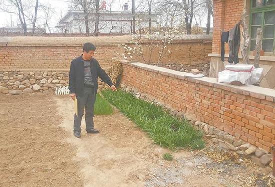 陈绍祥向记者介绍古墓所处的位置，墓室上方还种着韭菜和大葱。本稿图片均由北国网、辽沈晚报记者崔晋涛摄src=