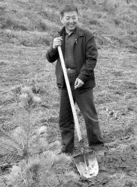 军分区副司令退休后进荒山10年种17万棵树(图)