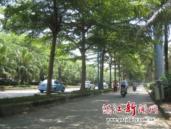 有路树遮荫,环卫工人的劳动强度就可以降低些