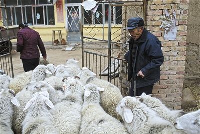 媒体关注涉呼格案3个家庭 遇害女孩家属未获赔偿