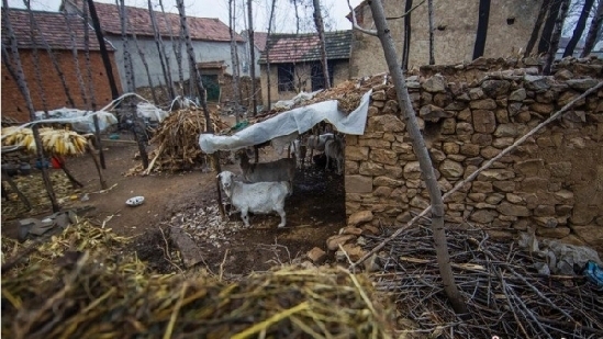村民家的羊圈(资料图)