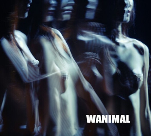 wanimal lofter全集曝光