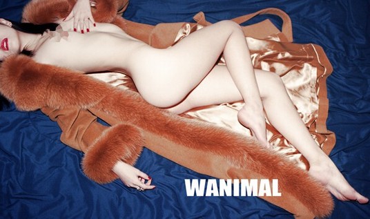 wanimal lofter全集曝光