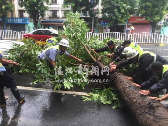 霞山交警合力移开横跨在路上的“拦路虎”。