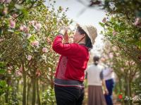 花都開(kāi)好了，春游的時(shí)間又來(lái)啦！