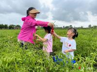 五一假期，家長帶孩子體驗“摘菜”