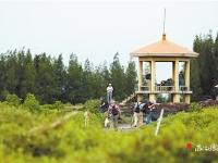 走進不一樣的洪流森林公園