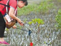 走進不一樣的洪流森林公園