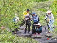 走進不一樣的洪流森林公園