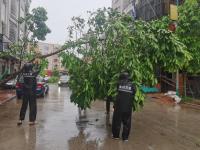 無懼風(fēng)雨，筑起“紅色防護(hù)墻”