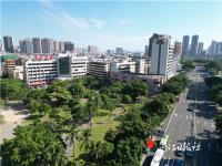 市区拟建设7个小游园