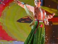 岭师美院举办毕业设计展演