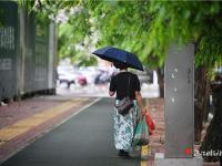 雨水“上崗” 帶來涼意