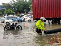 風(fēng)雨里的堅(jiān)守