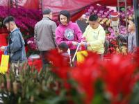 逛花市啦！市民购买年花年桔过新年