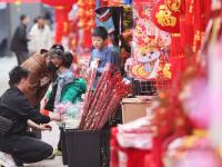 逛花市啦！市民购买年花年桔过新年
