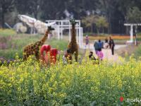 惠風(fēng)拂南國(guó) 繁花競(jìng)港城