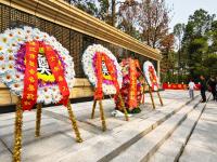 报小图·清明丨湛江市民在寸金公园烈士陵园缅怀先烈