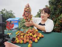 荔红时节共赴“甜蜜之约”