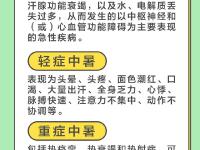 夏日高温防暑指南