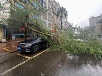 记者直击徐闻现场 台风“麦德姆”登陆前后12小时