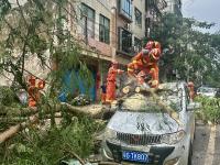 消除灾痕  清障畅路