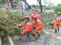 消除灾痕  清障畅路