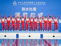 跳水赛场“湛将”闪耀