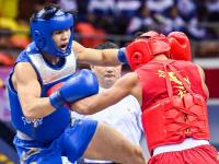 龙争虎斗 八方武杰会港城