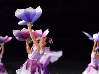 盛會啟幕，體育之光耀灣區