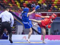 龙争虎斗 八方武杰会港城