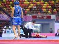 龙争虎斗 八方武杰会港城