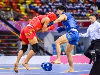 龙争虎斗 八方武杰会港城