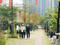 阴雨暂歇暖阳归 湛江市民公园享春光