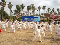 湛江庆祝首个“国际太极拳日”展演活动举行