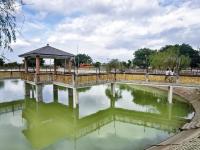 遂溪克须村“一领三商”赋能治理