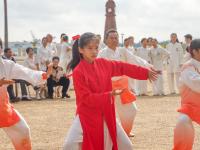 湛江庆祝首个“国际太极拳日”展演活动举行