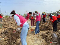霞山区东新街道开展学雷锋志愿服务系列活动