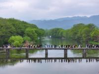 清明出游正当时