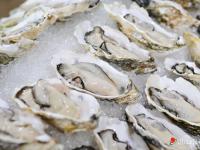 广货行天下 双城图记