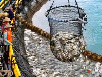 广货行天下 双城图记