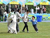 清明出游正当时