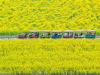 清明出游正当时