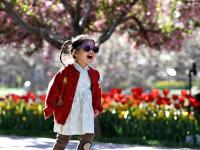 清明出游正当时