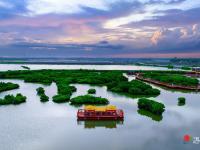  绿美红树林  绘就生态新画卷