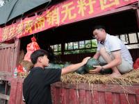 街头爱心接力！湛江市民抢购河南滞销西瓜